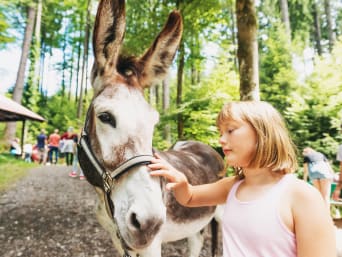 Umgang mit Tieren – Mädchen streichelt einen Esel.