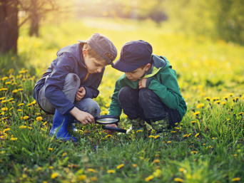 Umgang mit Tieren – Zwei Jungs untersuchen eine Wiese im Rahmen einer Naturführung.