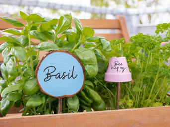 Idée jardin enfant : des étiquettes de jardin diy plantées près des herbes aromatiques.