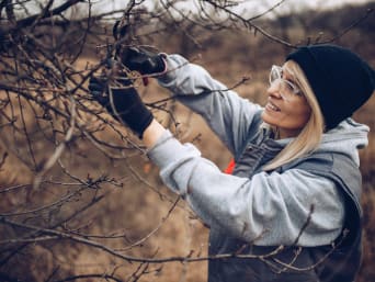 Jardiner en novembre : une femme taille les arbres fruitiers de son jardin.