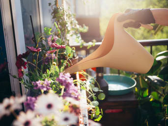 Giardinaggio fai da te - Una donna innaffia le piante del suo balcone.