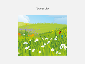 Specie da rinnovo – Grafico informativo sulla rotazione degli ortaggi nell’orto.