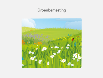 Groenbemesting – informatiegrafiek over de wisselteelt in de moestuin.