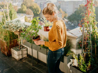 Balkongarten – Frau bringt im Frühling ihre Pflanzen auf den Balkon.