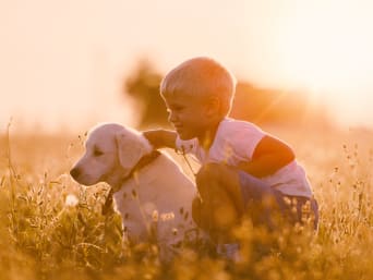 Choosing a pet for children: a young boy playing with his pet dog.