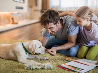 What pet should you get for your children? A father and his daughter feeding their pet dog.