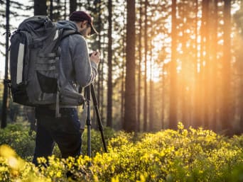 Landschaftsfotografie - Mann schießt ein Foto vom Wald mit einem Stativ.