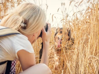 Tierfotografie – Frau fotografiert ihren Hund im Feld.