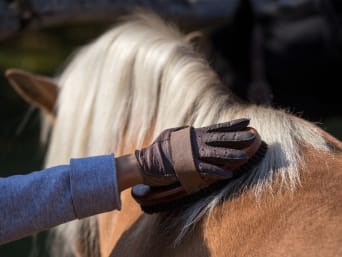 Clases de equitación infantil: acicalamiento del caballo antes de las clases de equitación.