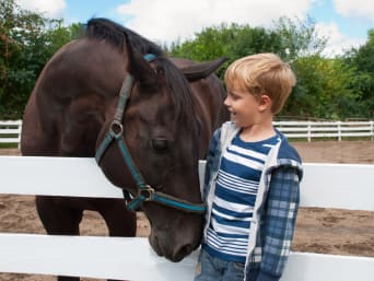Un bambino con il suo cavallo al termine di un corso di equitazioni per bambini.