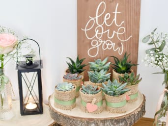 Make your own wedding favours: little succulents as a little something for your wedding guests.