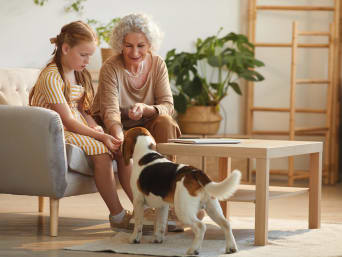Come addestrare un cane: nonna e nipote accarezzano il loro amico a quattro zampe. 