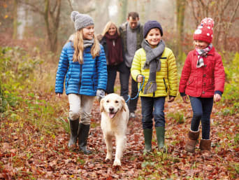 Perros familiares: unos padres y sus tres hijos pasean por un bosque con su perro.