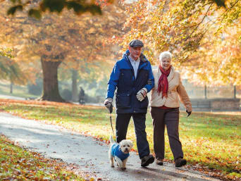 Perros tranquilos para personas mayores: una pareja de ancianos pasean con su perro por un parque.