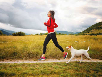 Sportende honden: vrouw jogt samen met haar hond. 