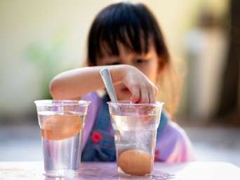 Experimente für Kinder: Versuch zur Wasserdichte mit Eiern.