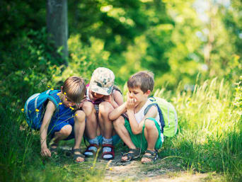 Trójka dzieci obserwuje owady na ściółce leśnej.