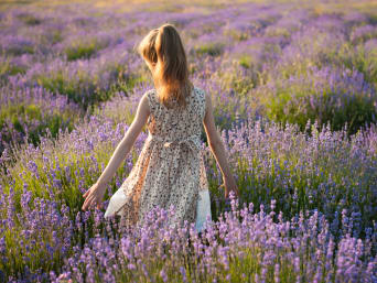 Een klein meisje loopt door een lavendelveld.