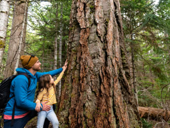 Percezione tattile bambini – Padre e figlia accarezzano il tronco di un albero.