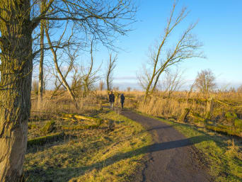 Twee wandelaars in de Oostvaardersplassen. Twee wandelaars in de Oostvaardersplassen.