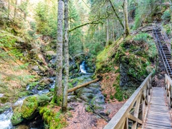 Wandern Schwarzwald: Wanderweg durch die Ravennaschlucht bei Breitnau.