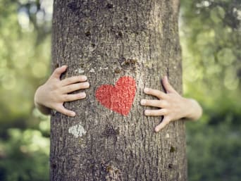 Milieubewust gedrag tijdens buitenactiviteiten: handen die een boom omhelzen.
