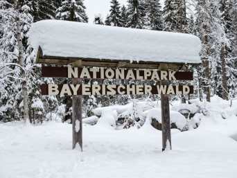 Winterurlaub Bayerischer Wald – Ausflugsziel „Nationalparkzentrum Bayerischer Wald“.