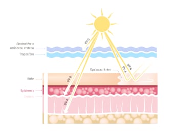 Účinek UV záření: Grafika ukazuje, jak hluboko sluneční záření proniká do kůže.