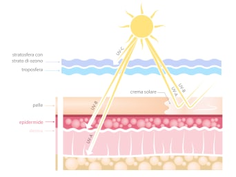 Raggi UV: un grafico mostra la profondità con cui colpiscono i raggi solari sulla nostra pelle.