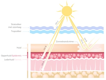 UV-straling – De grafiek laat zien hoe UV-stralen zonder zonbescherming diep in de huid doordringen.
