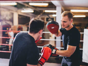 Boxtraining – Boxer trainieren zusammen.