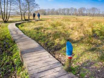 Het Pieterpad: wandelaars lopen in de natuur via de LAW-markering. 
