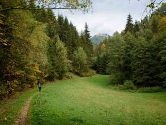 Wandern auf dem Burgen- und Schlösserweg – Ein Wanderer mit Burg Ruttenstein im Hintergrund. Wandern auf dem Burgen- und Schlösserweg – Ein Wanderer mit Burg Ruttenstein im Hintergrund.