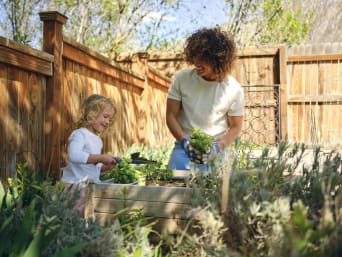 Umwelterziehung – Mutter und Tochter pflanzen Kräuter im Garten.