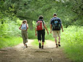 Spreewald mit Kindern erleben: Familie wandert in der Natur. Spreewald mit Kindern erleben: Familie wandert in der Natur.