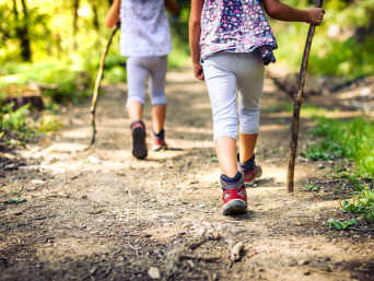 Teutoburger Wald mit Kindern: Kinder wandern einen Waldweg entlang. Teutoburger Wald mit Kindern: Kinder wandern einen Waldweg entlang.