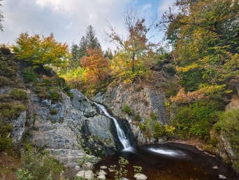 Vakantie Ardennen: een kleine waterval, omgeven door bossen en stenen. 