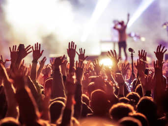 Festival in de Achterhoek: het publiek gooit de handen in de lucht tijdens een concert.