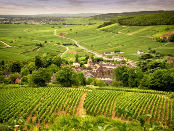 La Bourgogne : une terre de vins prestigieux.