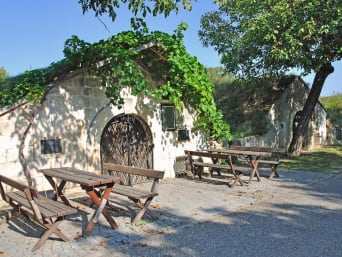 Wein aus dem Burgenland: Tische und Bänke vor einem Weinkeller.