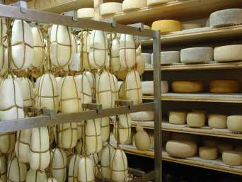 Cosa mangiare in Calabria: Silano DOP, formaggio tipico calabrese.