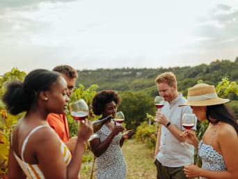 Kulinarische Veranstaltungen: Eine Gruppe nimmt an einer Weinverkostung in einem Weinberg teil.