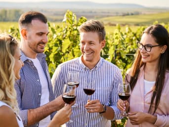 Wein Schaffhausen: Freunde stossen in den Weinbergen mit einem Glas Rotwein an.