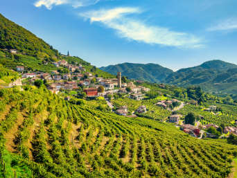 Vitigni veneti: vigneti nei pressi di Santo Stefano di Valdobbiadene. Vitigni veneti: vigneti nei pressi di Santo Stefano di Valdobbiadene.