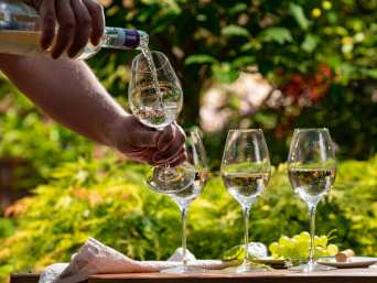 Vini veneti: diversi bicchieri pronti per una degustazione di vini in Veneto. Vini veneti: diversi bicchieri pronti per una degustazione di vini in Veneto.