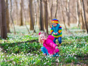 Frühblüher im Wald – Kinder entdecken Schneeglöckchen im Wald.