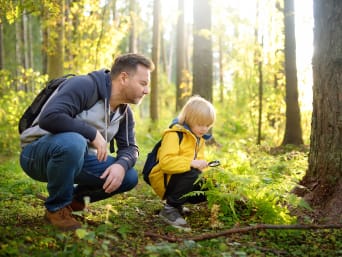 Bosco in primavera – Papà e figlio osservano il suolo attorno a un albero in un bosco in primavera. 