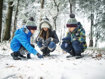 Wald im Winter – Kinder finden eine Tierspur im Schnee.