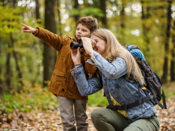 Qué hacer en el bosque: un niño enseña algo a su madre en el bosque.