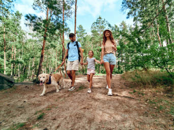 Regeln im Wald – Familie mit Hund geht im Wald spazieren. 